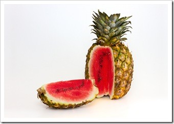 Sewell NJ Food Safety GMO