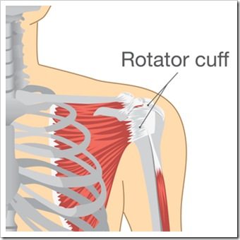 Shoulder Pain Woodbury NJ Rotator Cuff Injury